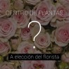 CENTRO DE PLANTAS DEL "FLORISTA"