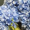 HORTENSIAS XXL