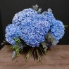 HORTENSIAS XXL