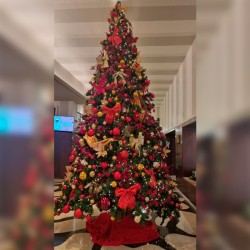 ÁRBOL DE NAVIDAD AN-24004