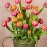 TULIPANES EN ZINC