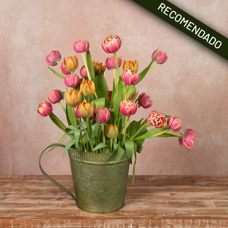TULIPANES EN ZINC