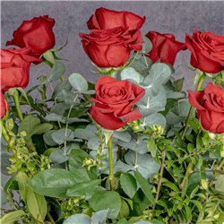 DOCENA DE ROSAS TALLO LARGO