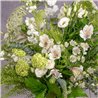 RAMO BLANCO SILVESTRE