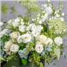 SOMBRERERA WHITE