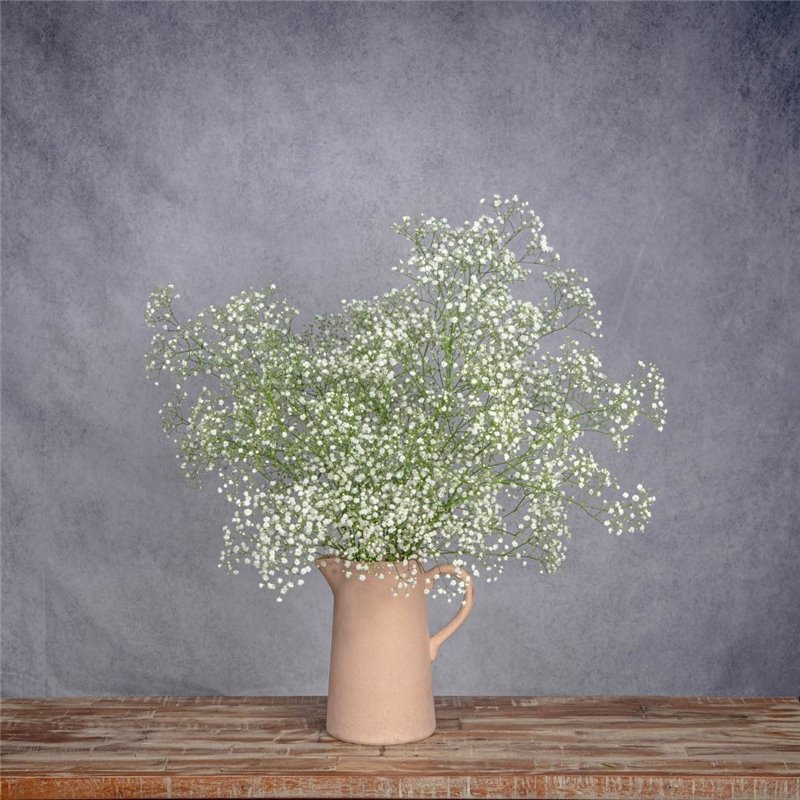 JARRA CON PANICULATA