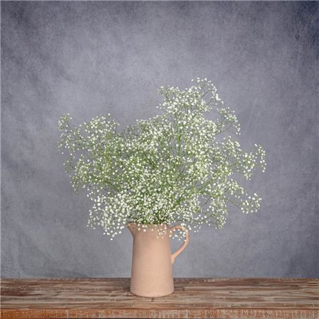 JARRA CON PANICULATA