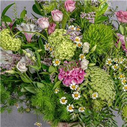 PRIMAVERA