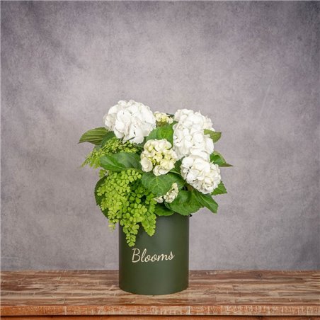 SOMBRERERA DE HORTENSIAS