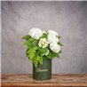 SOMBRERERA DE HORTENSIAS
