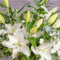 RAMO DE LILIUM