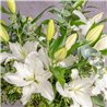 RAMO DE LILIUM