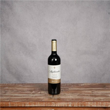 AZPILICUETA RESERVA 019