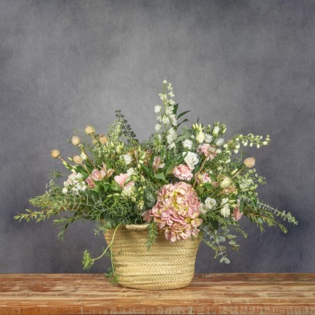 CAPAZO PINK