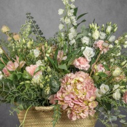 CAPAZO PINK