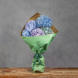 HORTENSIAS GRAB AND GO