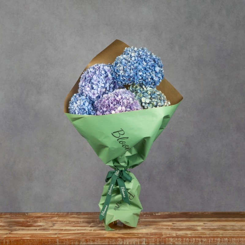 HORTENSIAS GRAB AND GO