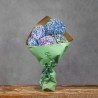 HORTENSIAS GRAB AND GO