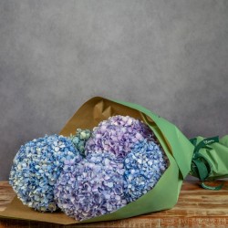 HORTENSIAS GRAB AND GO