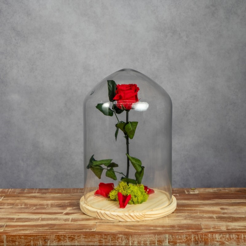 ROSA BELLA Y BESTIA