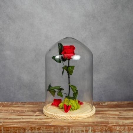 ROSA BELLA Y BESTIA