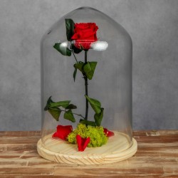 ROSA BELLA Y BESTIA