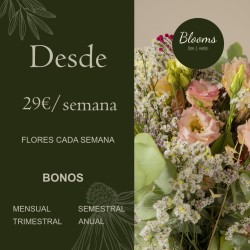 FLORES CADA SEMANA