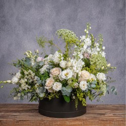 SOMBRERERA WHITE