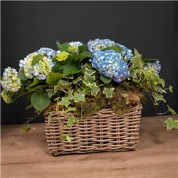 Composición de hortensias azules