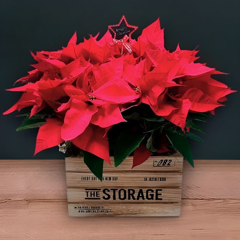 COMPOSICIONES CON FLORES DE PASCUA​